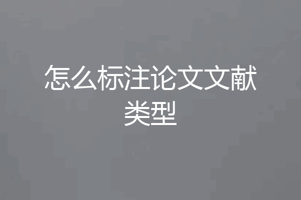 怎么标注论文文献类型