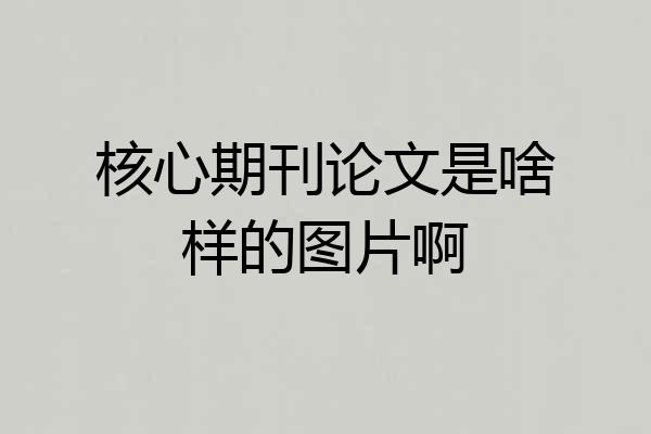 核心期刊论文是啥样的图片啊
