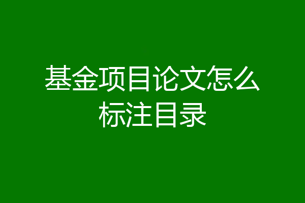 基金项目论文怎么标注目录