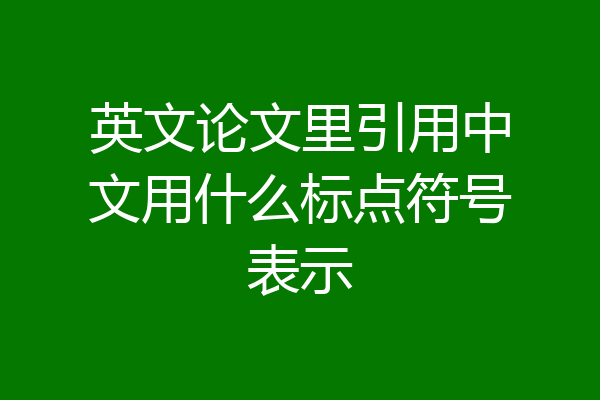 英文论文里引用中文用什么标点符号表示