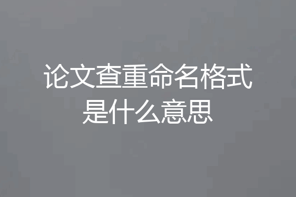 论文查重命名格式是什么意思