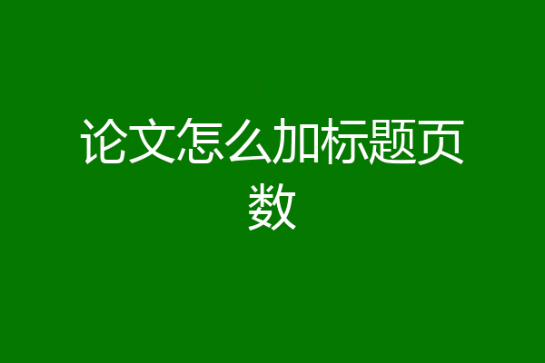 论文怎么加标题页数