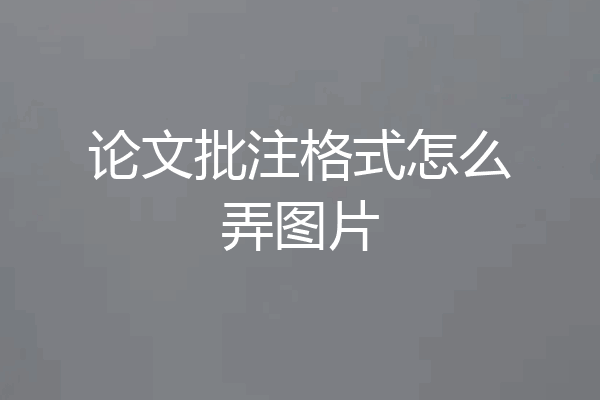 论文批注格式怎么弄图片