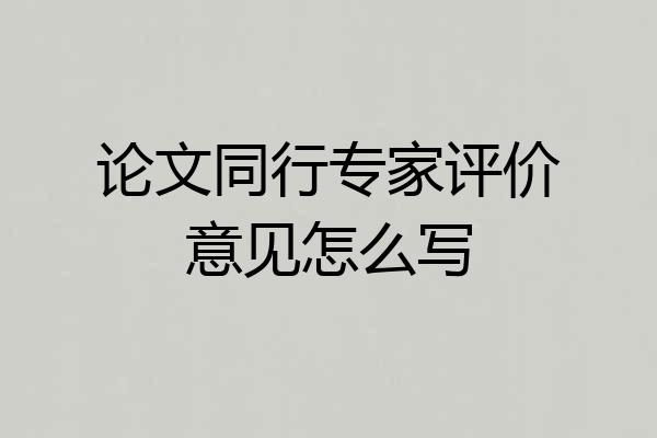 论文同行专家评价意见怎么写