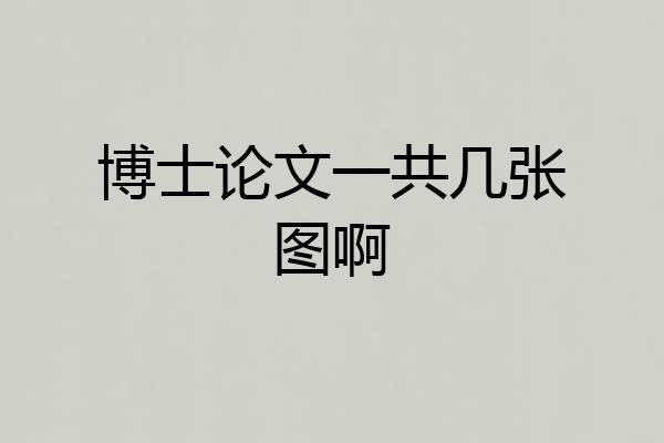 博士论文一共几张图啊