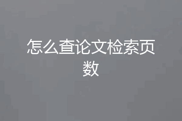 怎么查论文检索页数