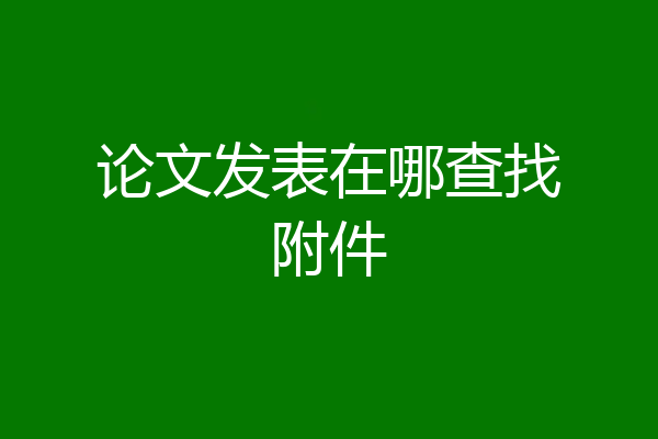 论文发表在哪查找附件