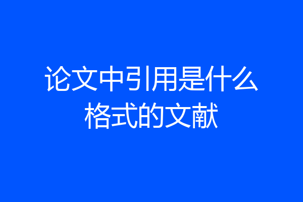 论文中引用是什么格式的文献