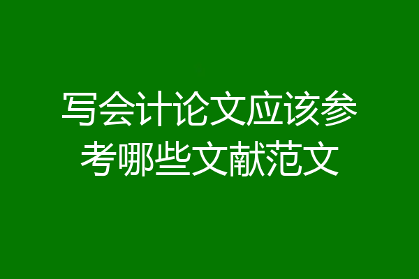 写会计论文应该参考哪些文献范文