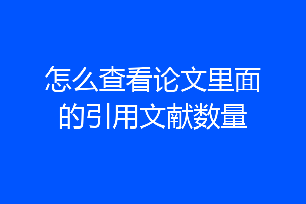 怎么查看论文里面的引用文献数量