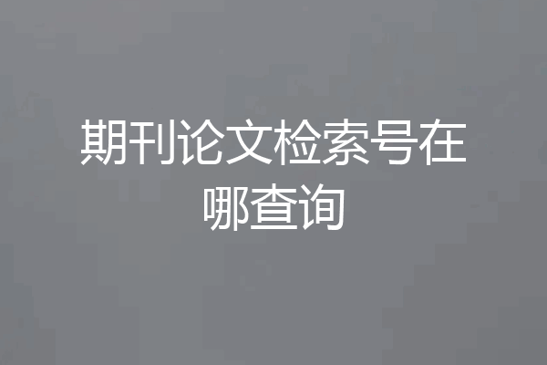 期刊论文检索号在哪查询