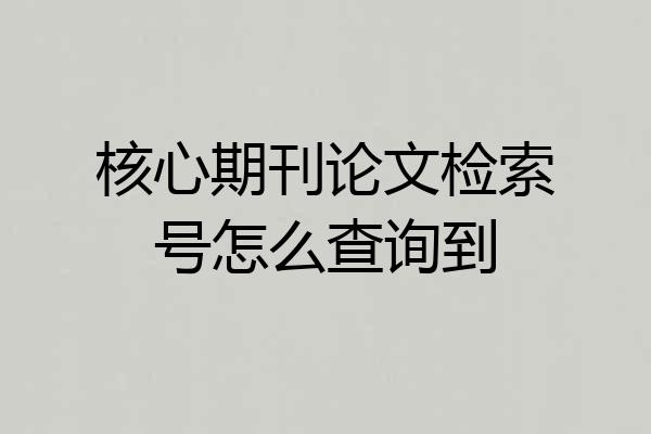 核心期刊论文检索号怎么查询到
