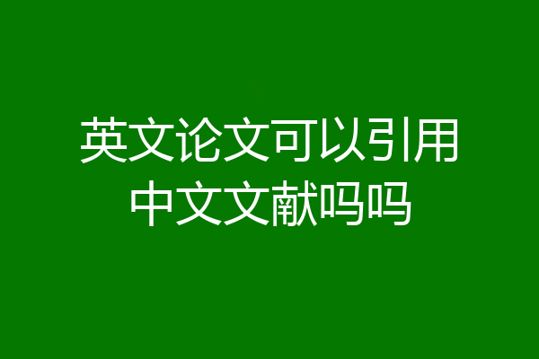 英文论文可以引用中文文献吗吗