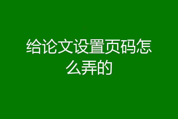 给论文设置页码怎么弄的