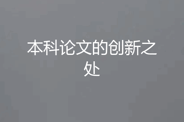 本科论文的创新之处
