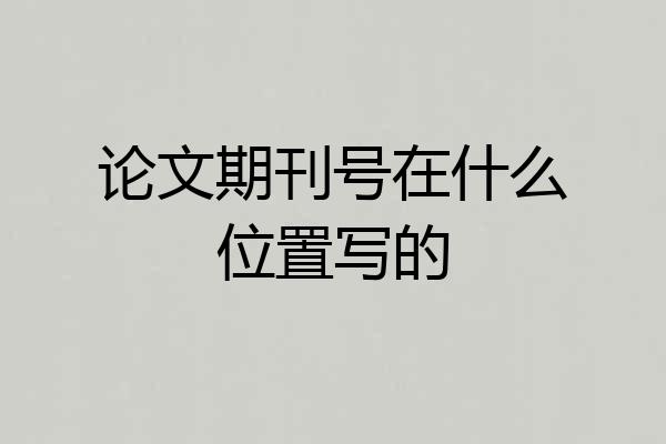 论文期刊号在什么位置写的