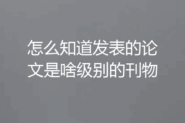 怎么知道发表的论文是啥级别的刊物