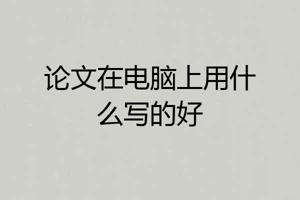 论文在电脑上用什么写的好