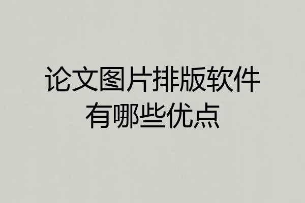 论文图片排版软件有哪些优点