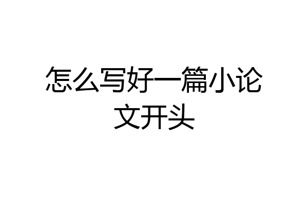 怎么写好一篇小论文开头