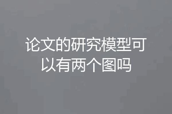 论文的研究模型可以有两个图吗