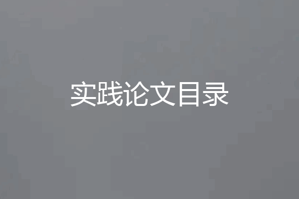 实践论文目录