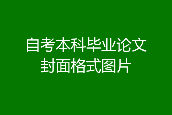 自考本科毕业论文封面格式图片