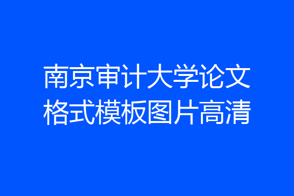 南京审计大学论文格式模板图片高清