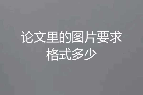 论文里的图片要求格式多少
