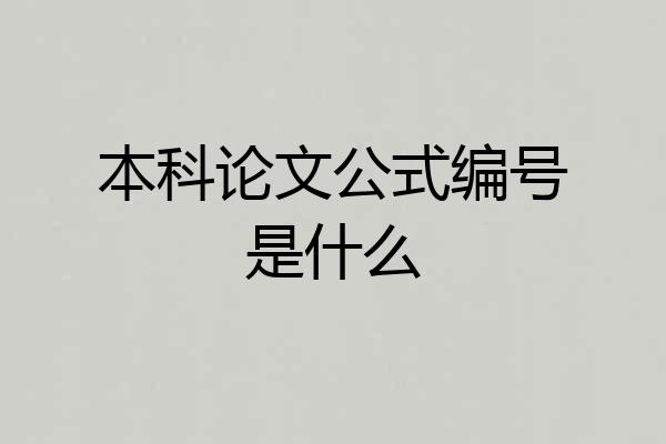 本科论文公式编号是什么