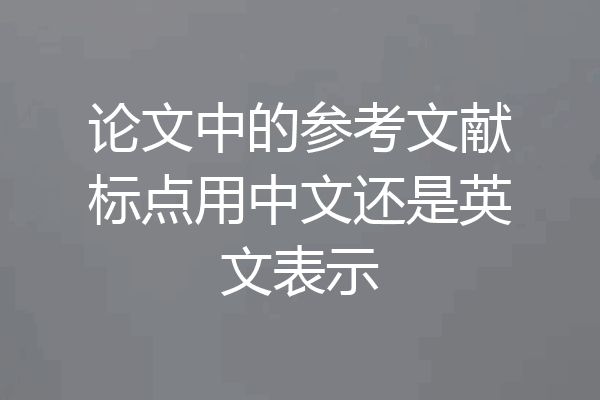 论文中的参考文献标点用中文还是英文表示
