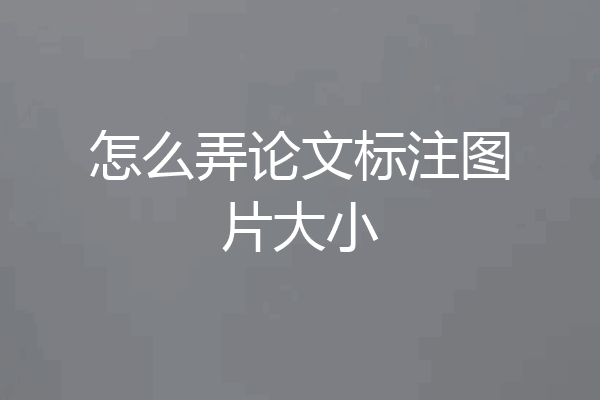 怎么弄论文标注图片大小