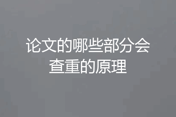 论文的哪些部分会查重的原理