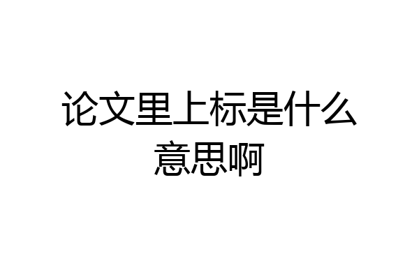 论文里上标是什么意思啊