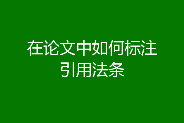 在论文中如何标注引用法条
