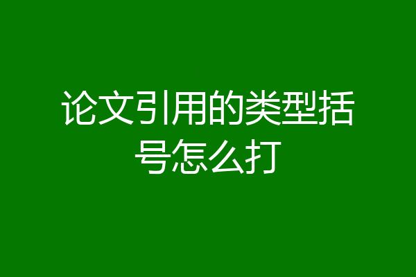 论文引用的类型括号怎么打