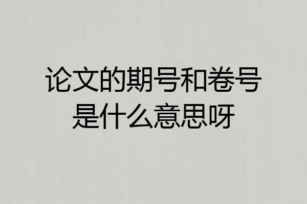 论文的期号和卷号是什么意思呀