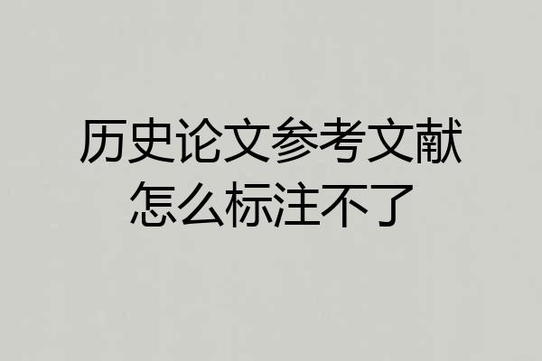 历史论文参考文献怎么标注不了