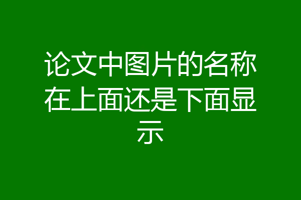 论文中图片的名称在上面还是下面显示