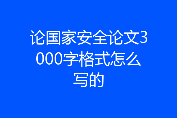 论国家安全论文3000字格式怎么写的