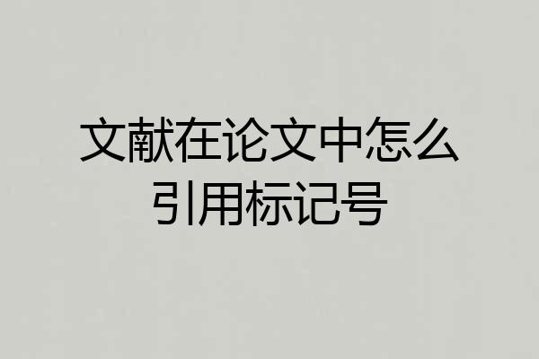 文献在论文中怎么引用标记号