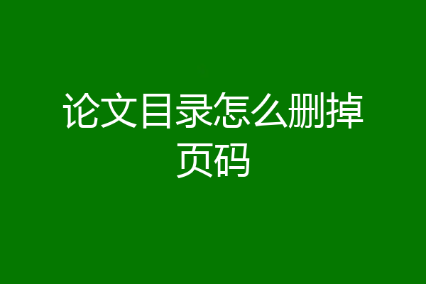 论文目录怎么删掉页码