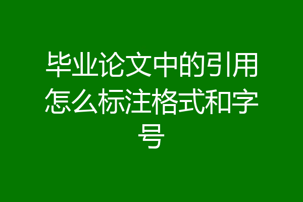 毕业论文中的引用怎么标注格式和字号