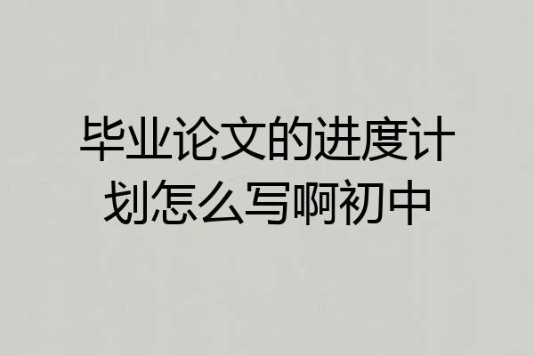 毕业论文的进度计划怎么写啊初中