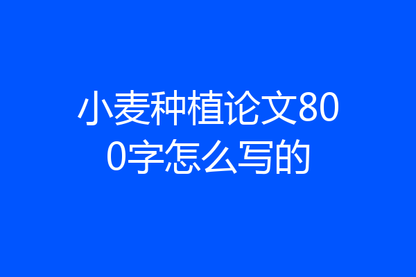 小麦种植论文800字怎么写的