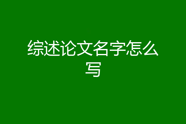 综述论文名字怎么写