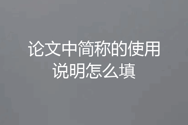 论文中简称的使用说明怎么填