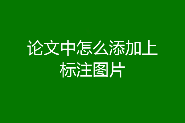 论文中怎么添加上标注图片