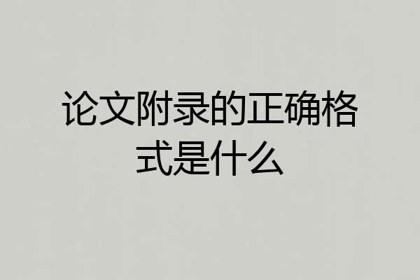 论文附录的正确格式是什么