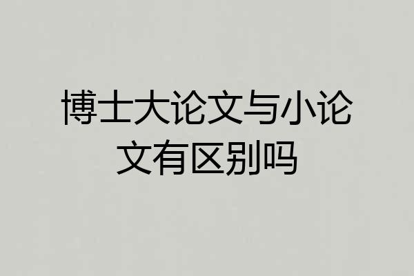 博士大论文与小论文有区别吗